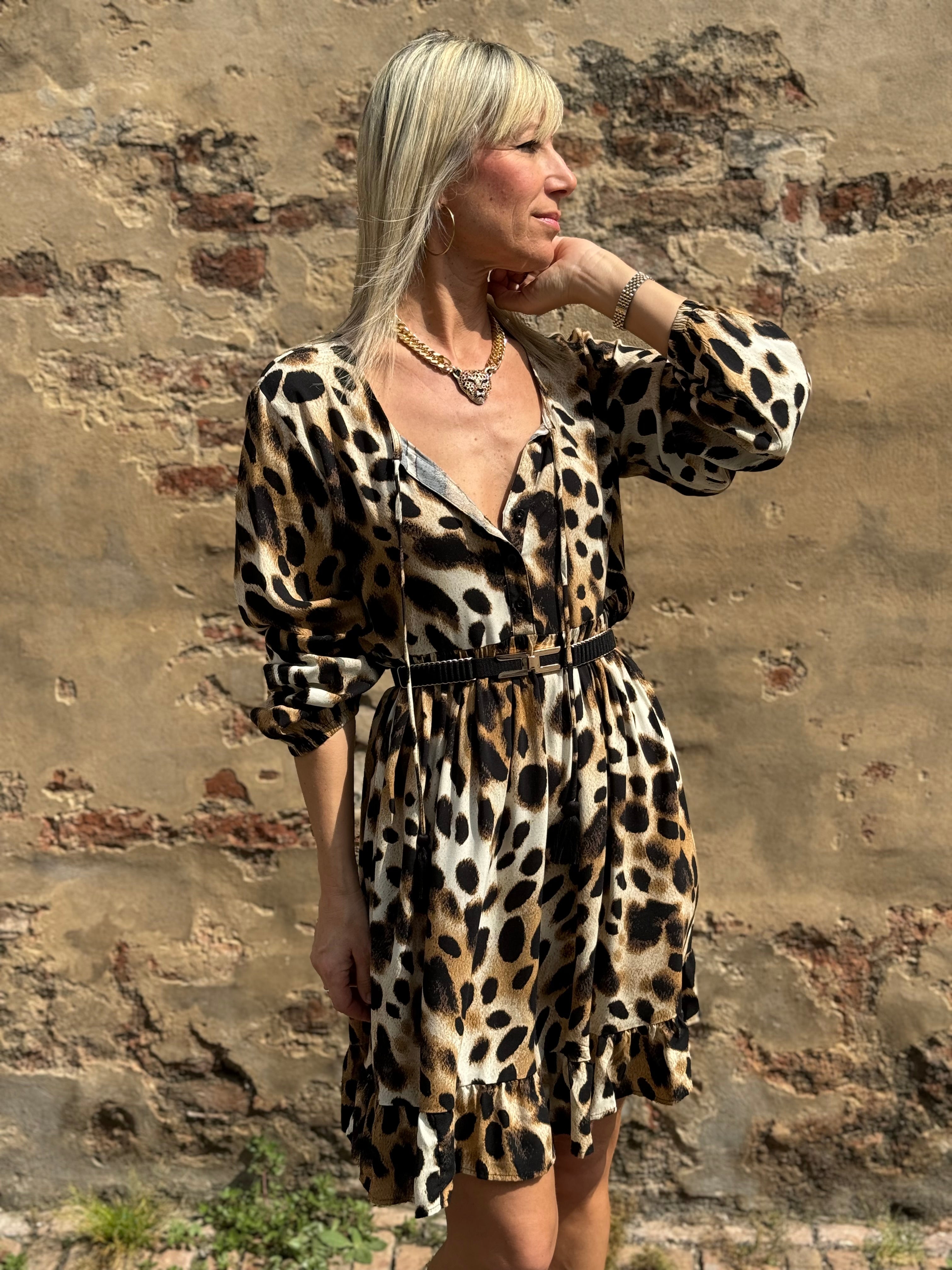 Collezione Lince 🐆