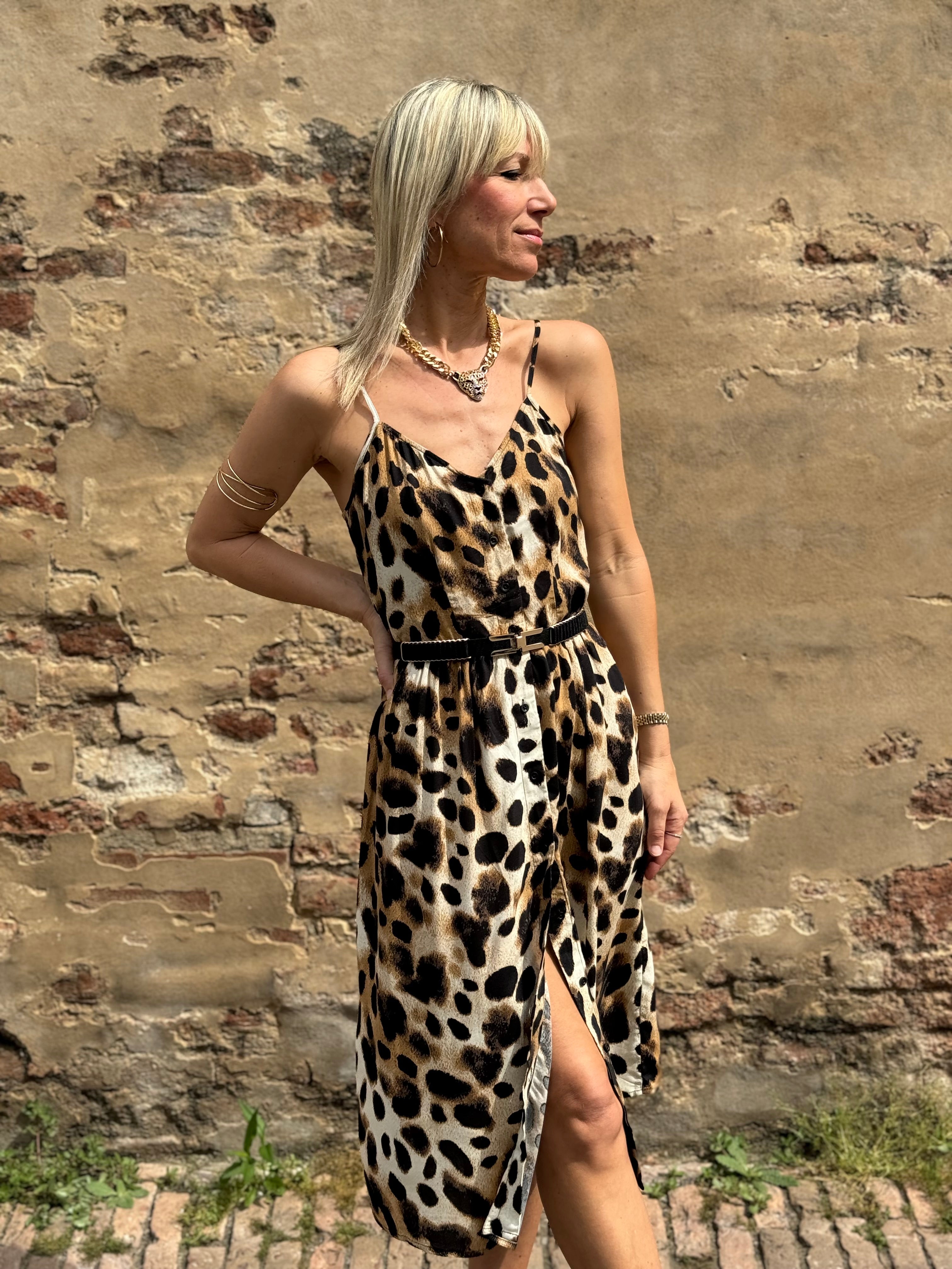 Collezione Lince 🐆