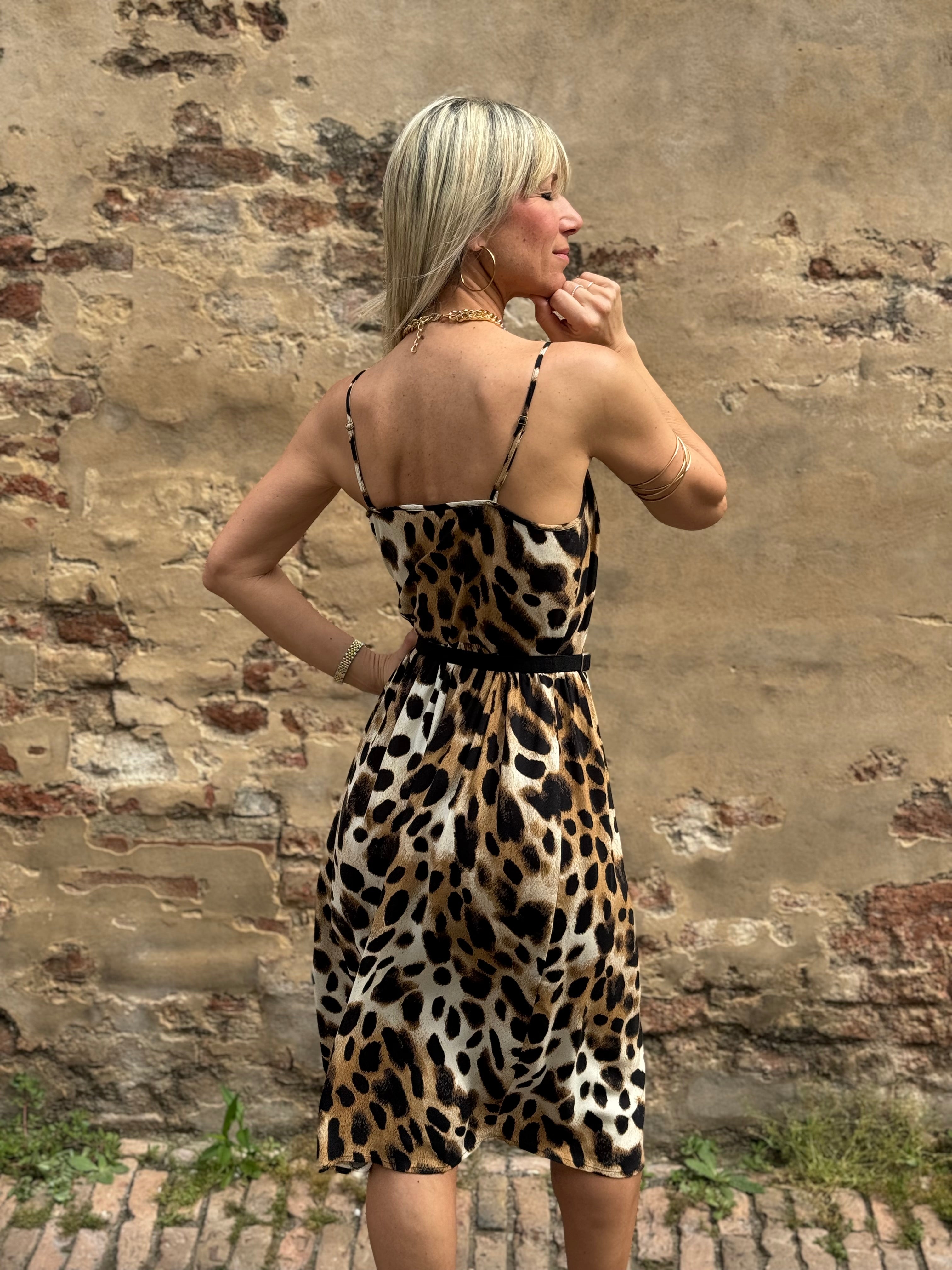 Collezione Lince 🐆