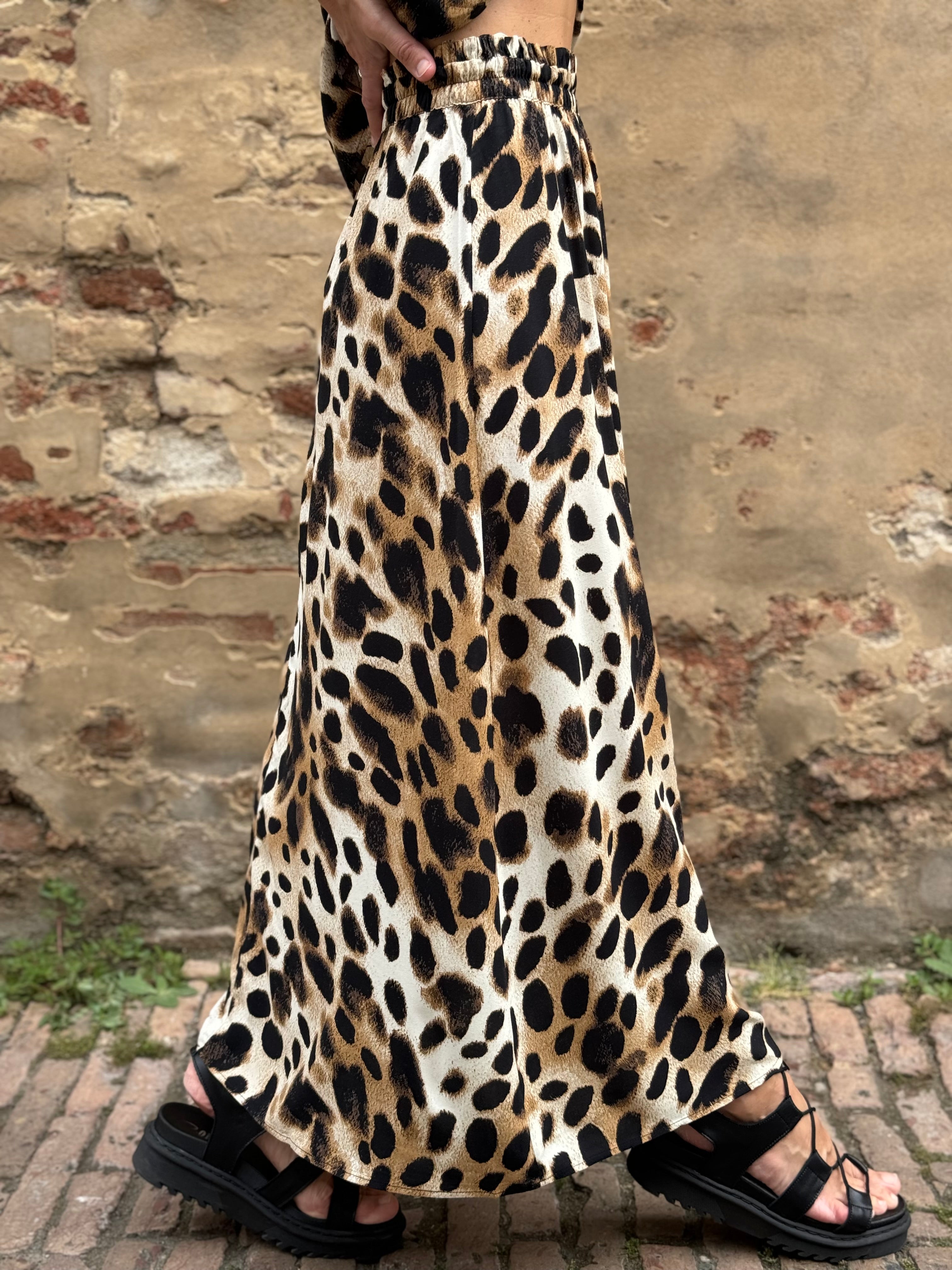Collezione Lince 🐆