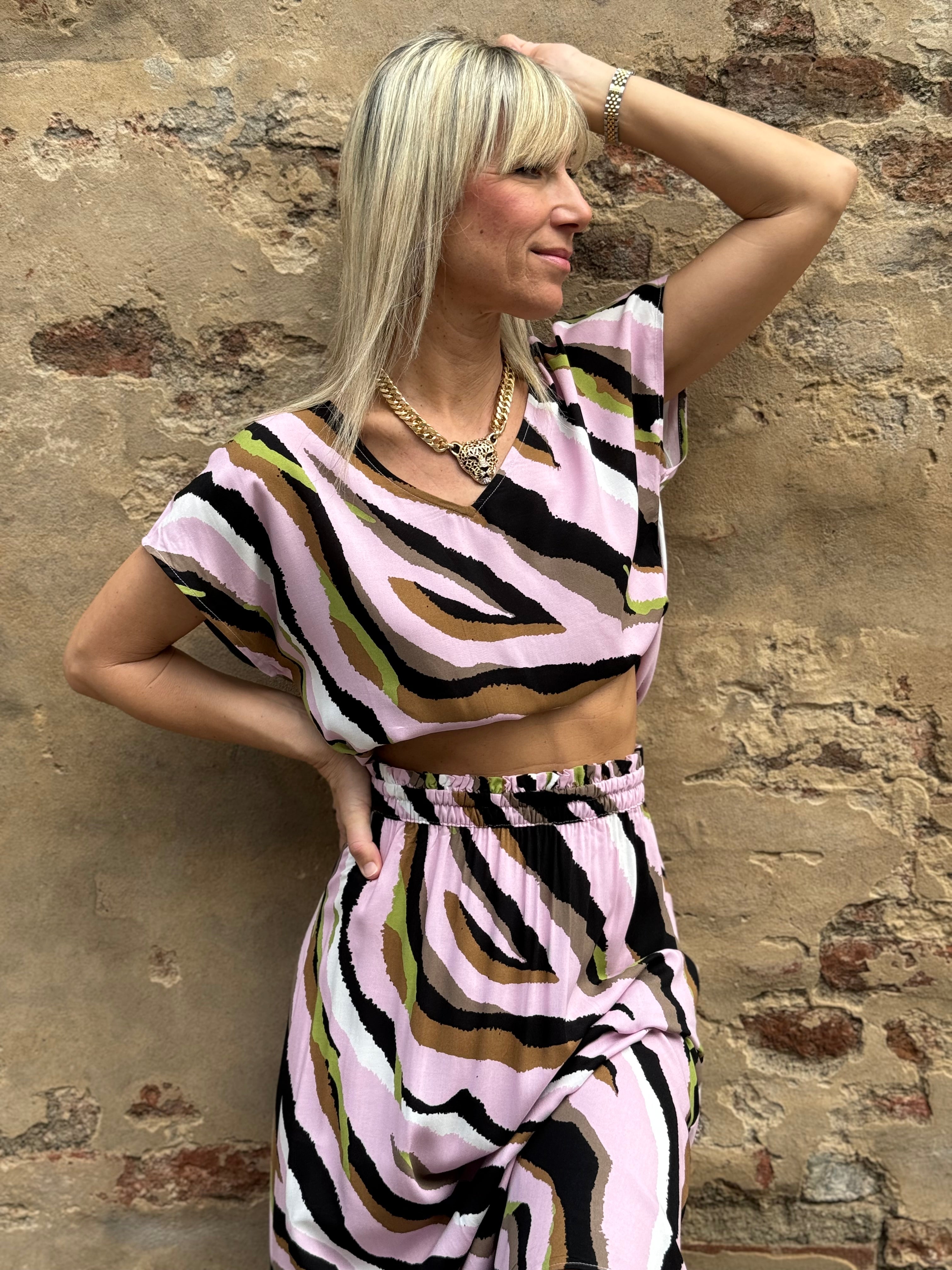 Collezione Tigre 🐅