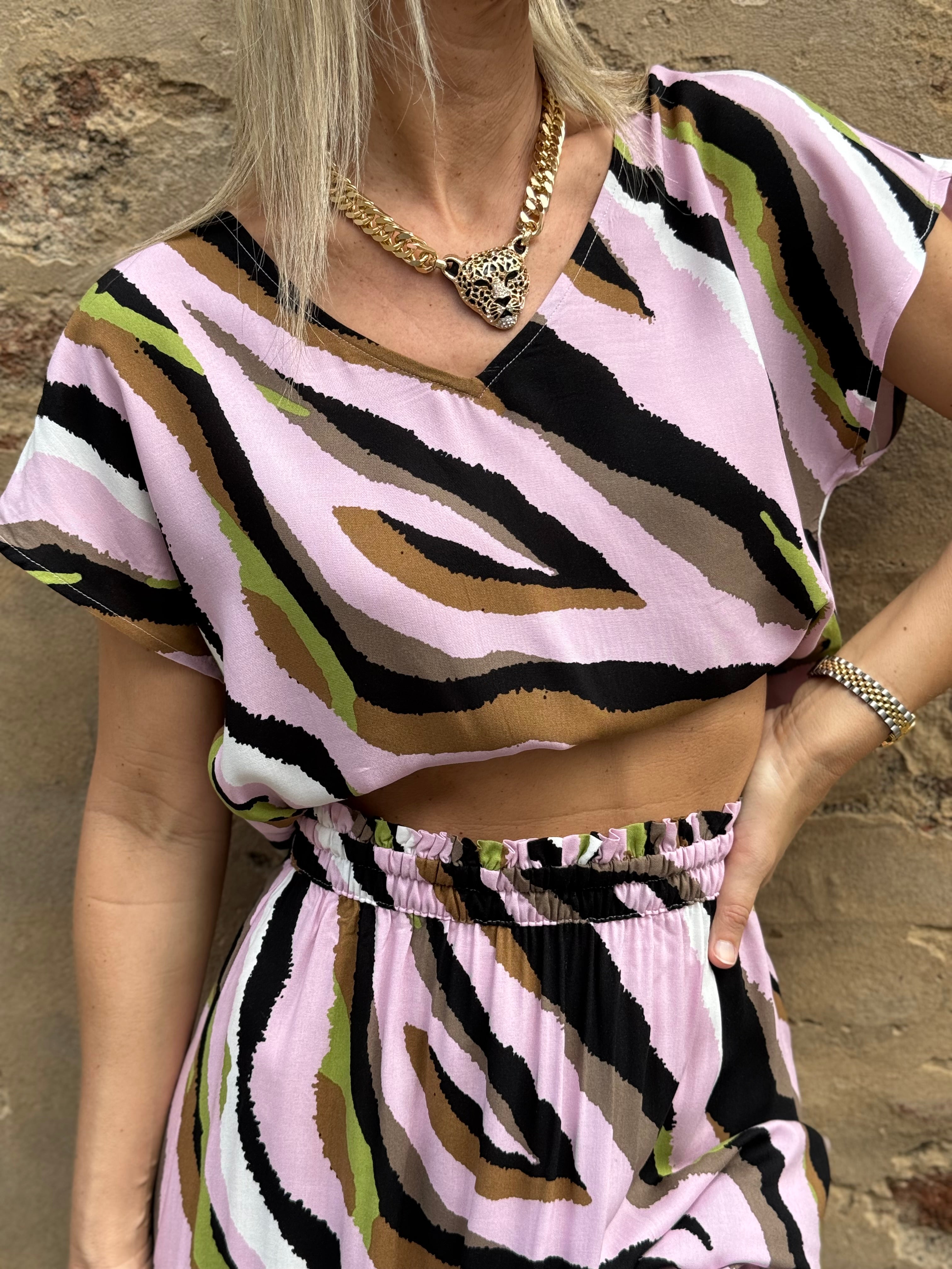 Collezione Tigre 🐅