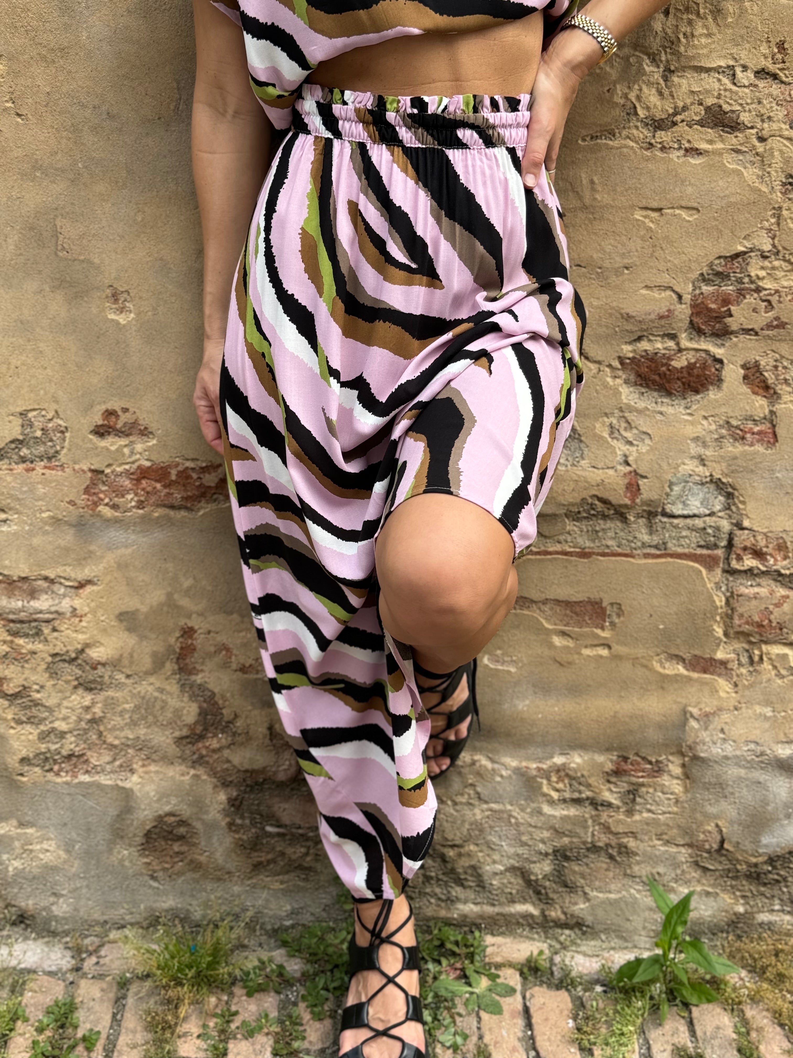 Collezione Tigre 🐅