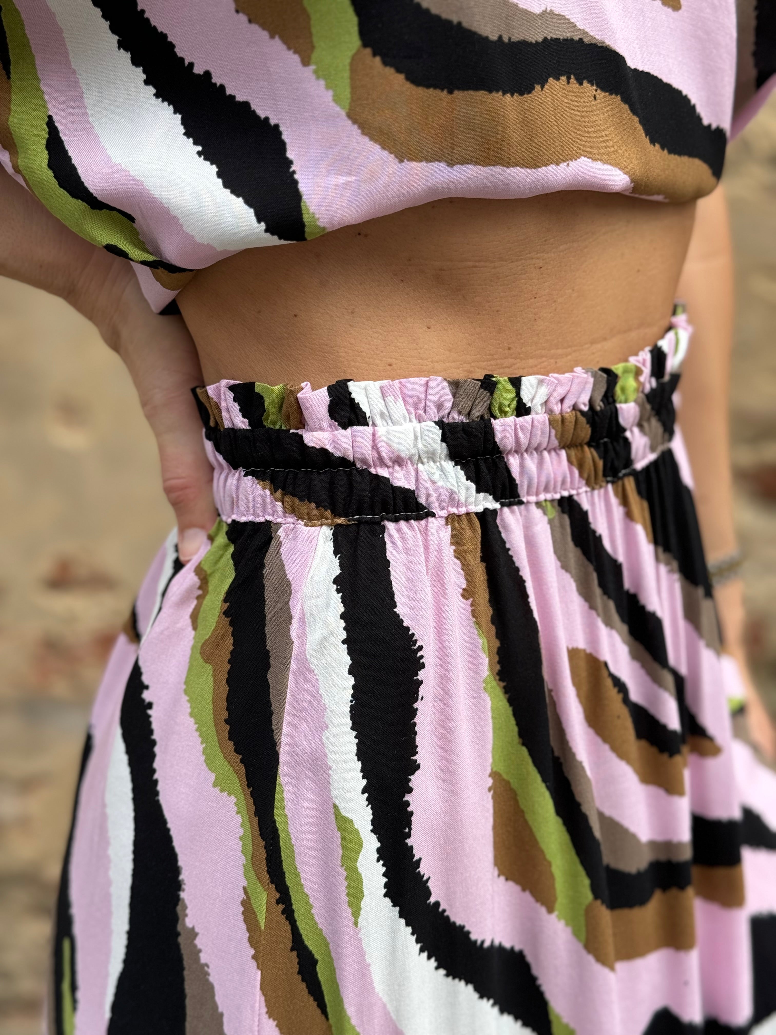 Collezione Tigre 🐅