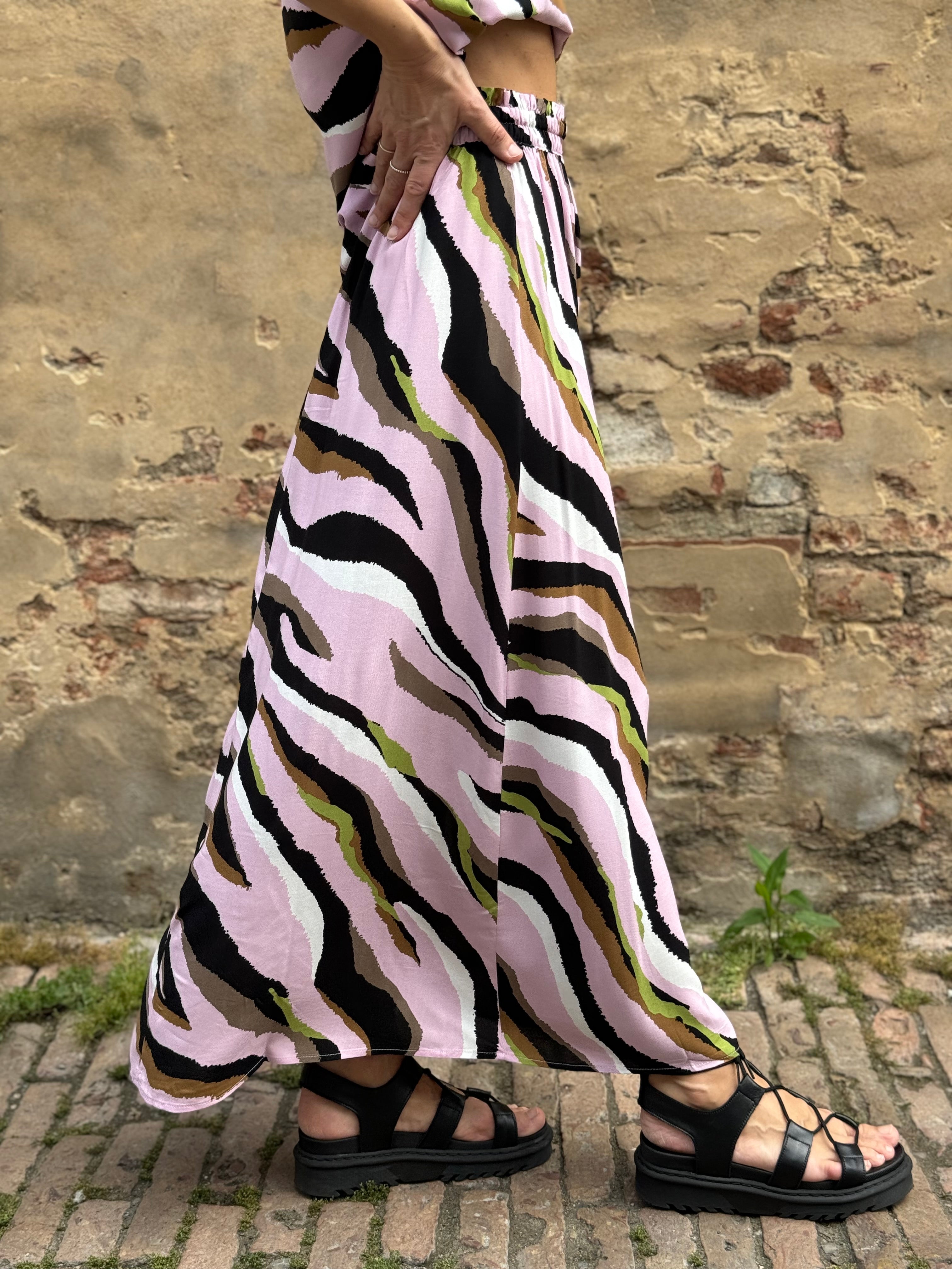 Collezione Tigre 🐅
