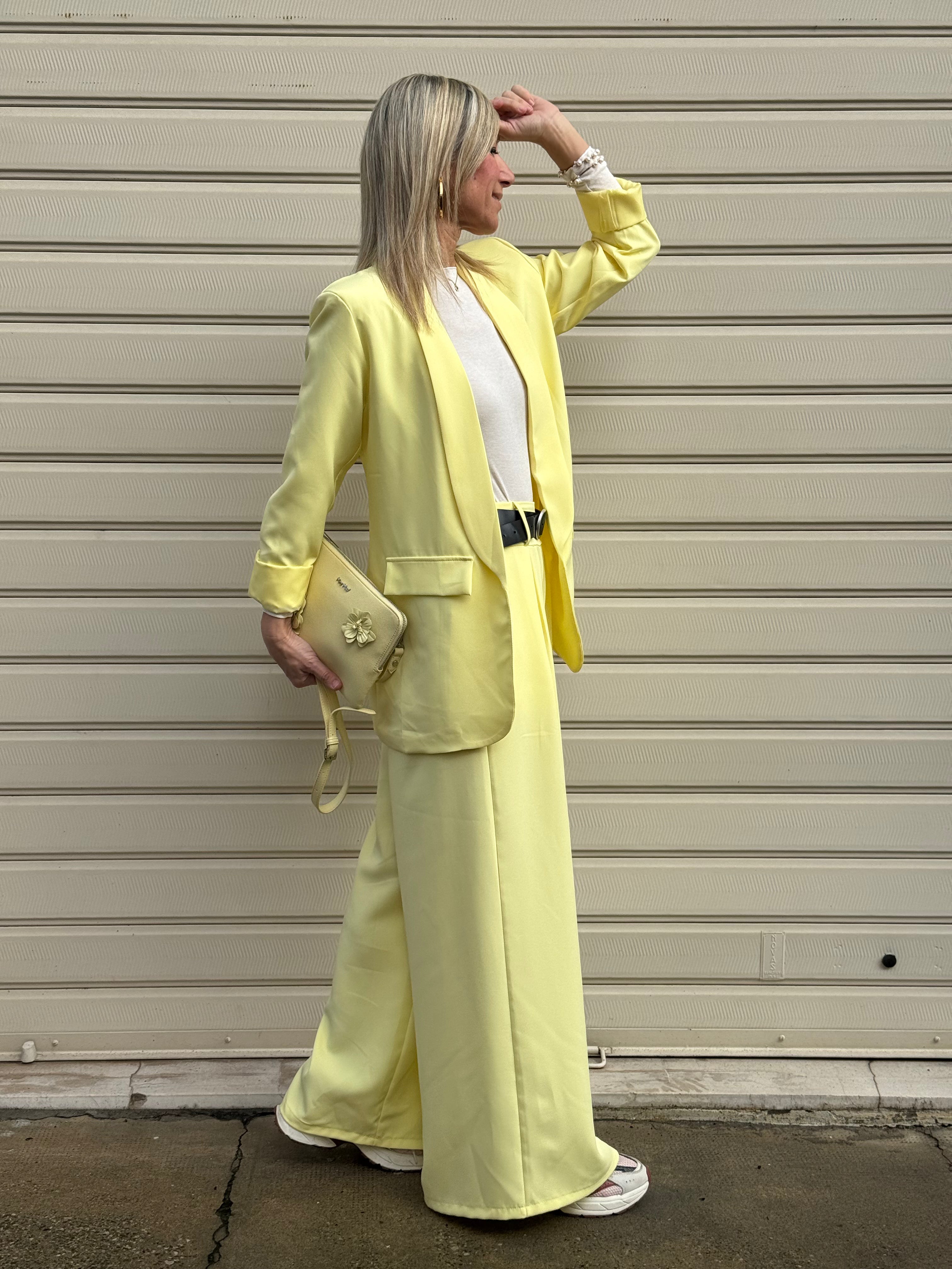 Blazer emily
