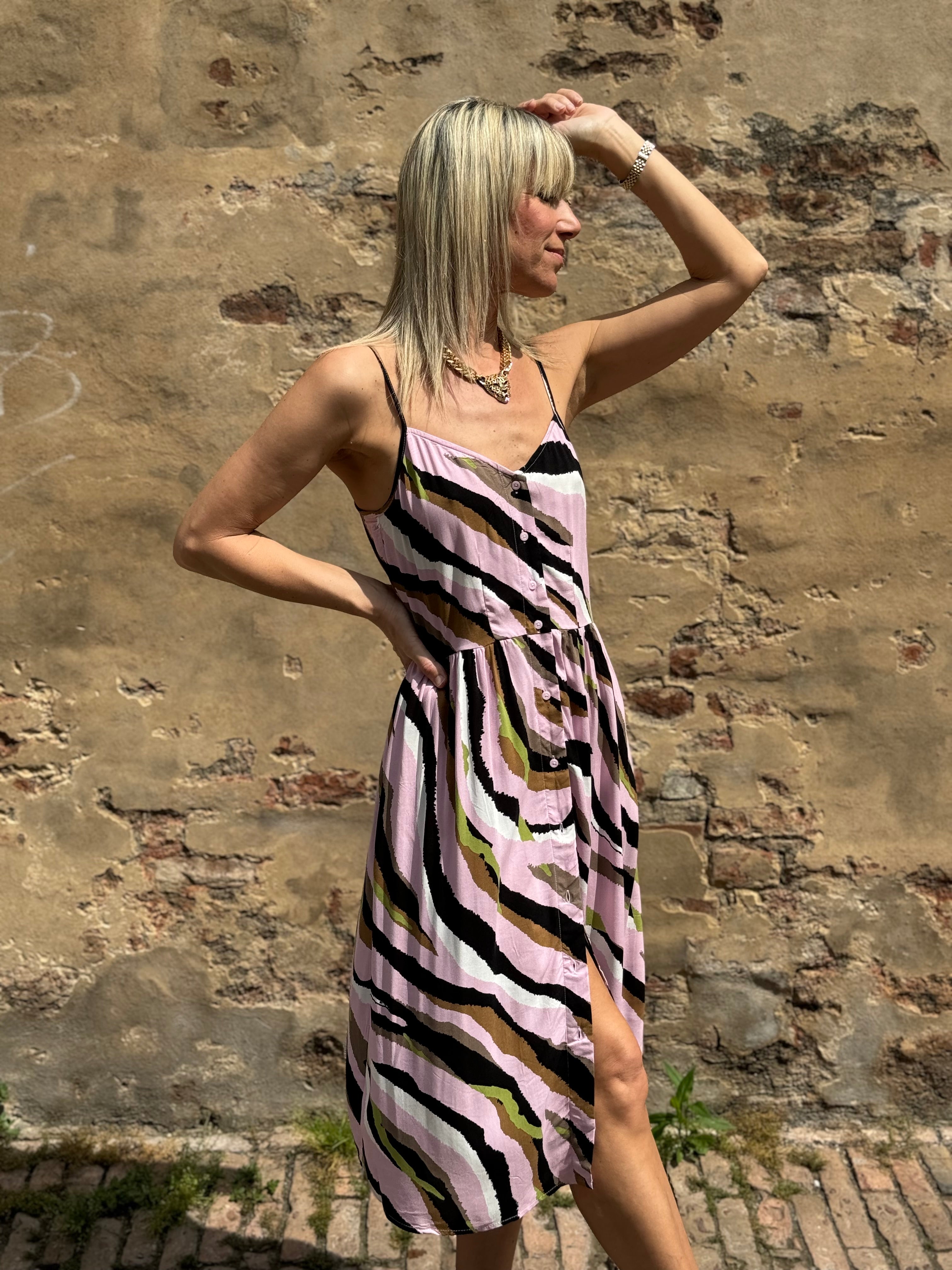 Collezione Tigre 🐅