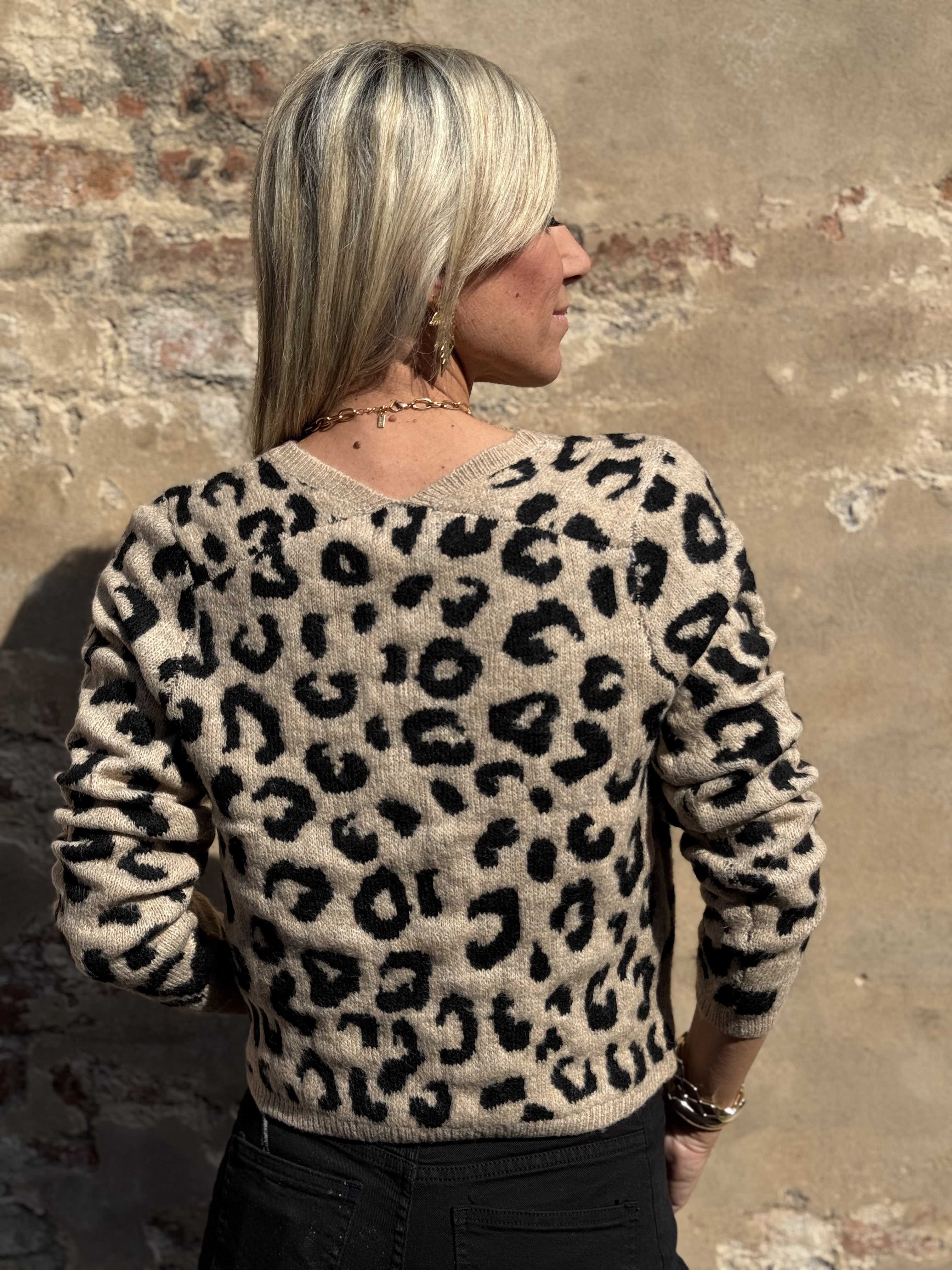 Maglione Maculato Scollo V