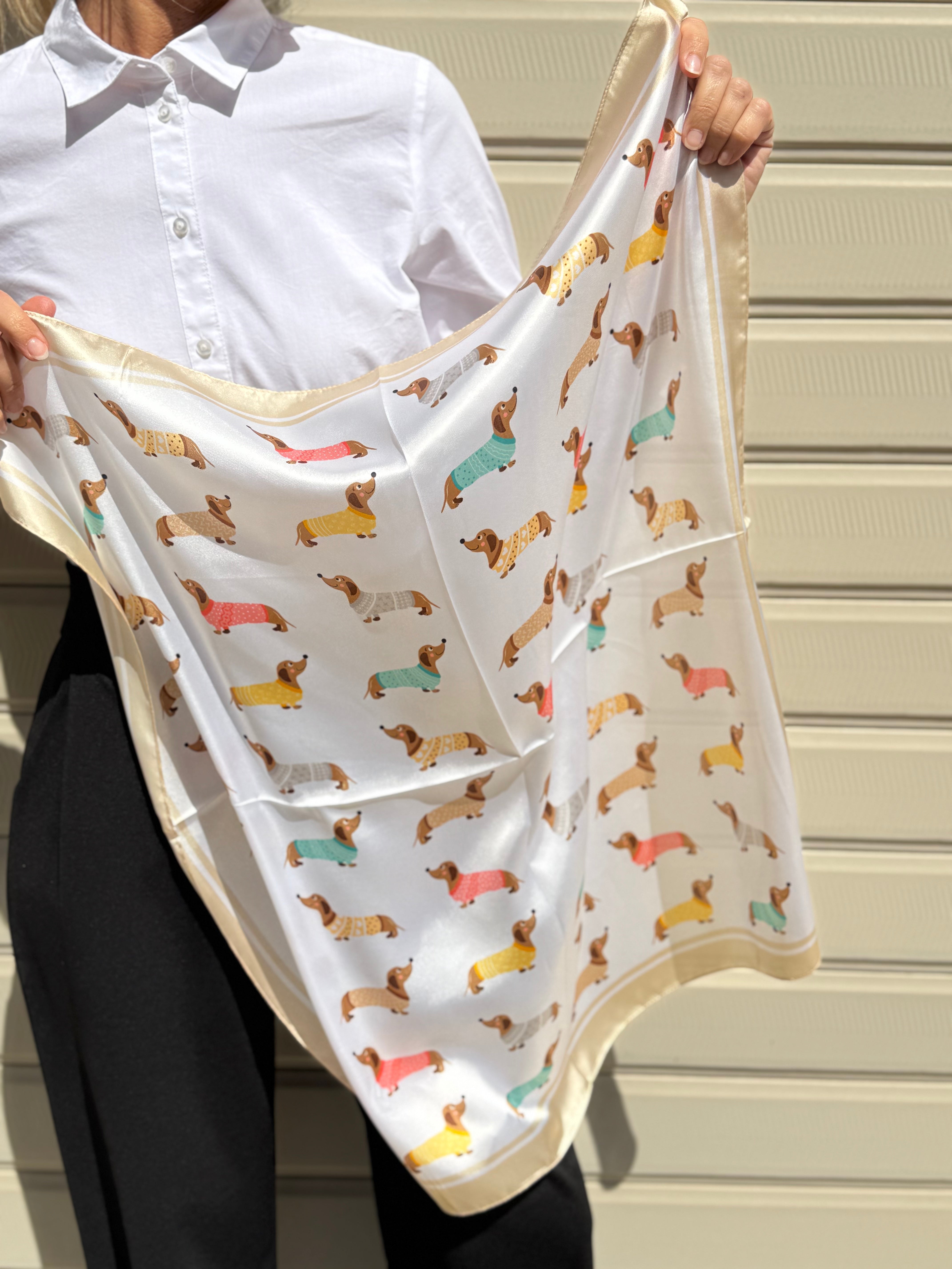 Foulard bassotto