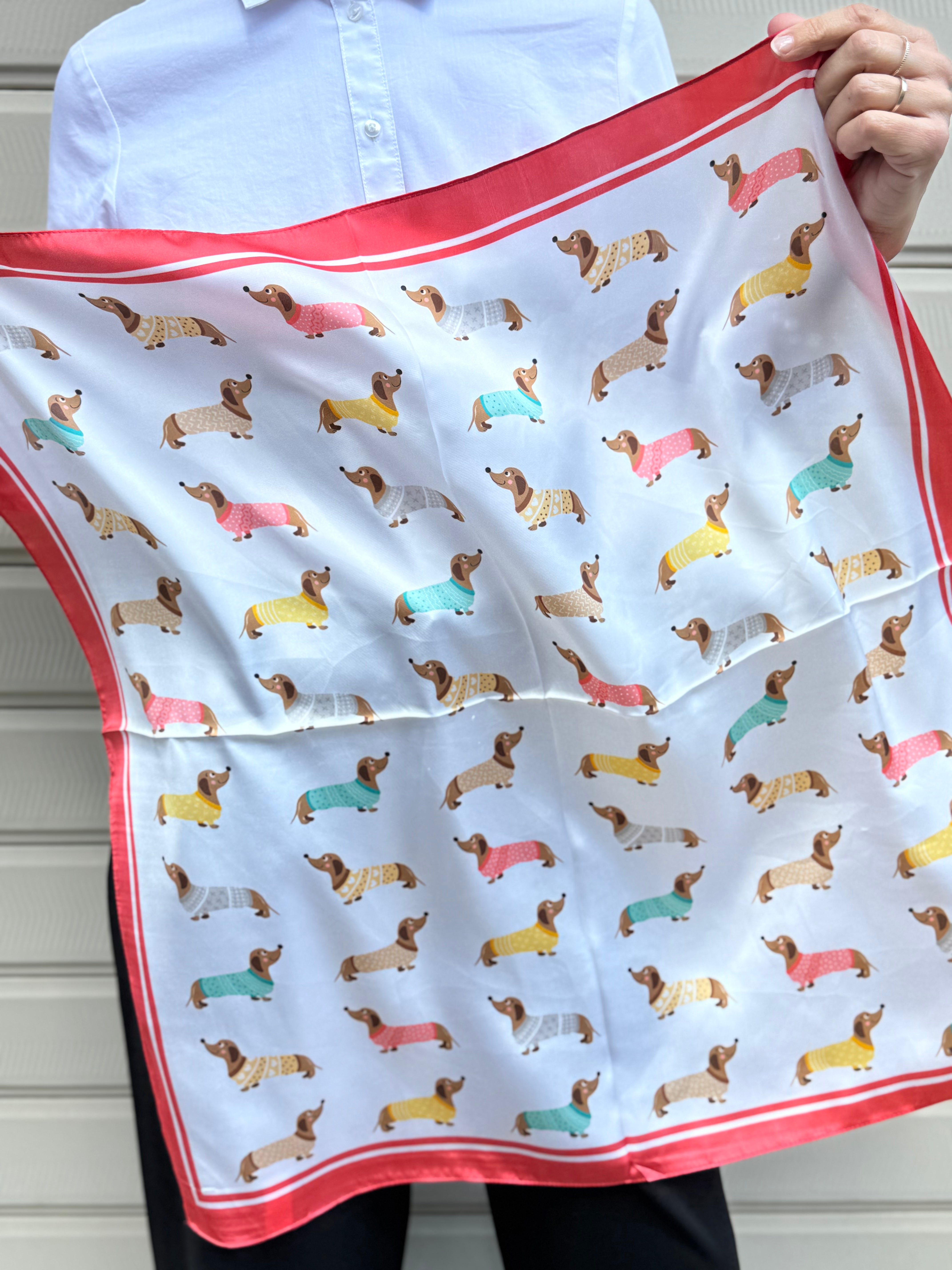 Foulard bassotto