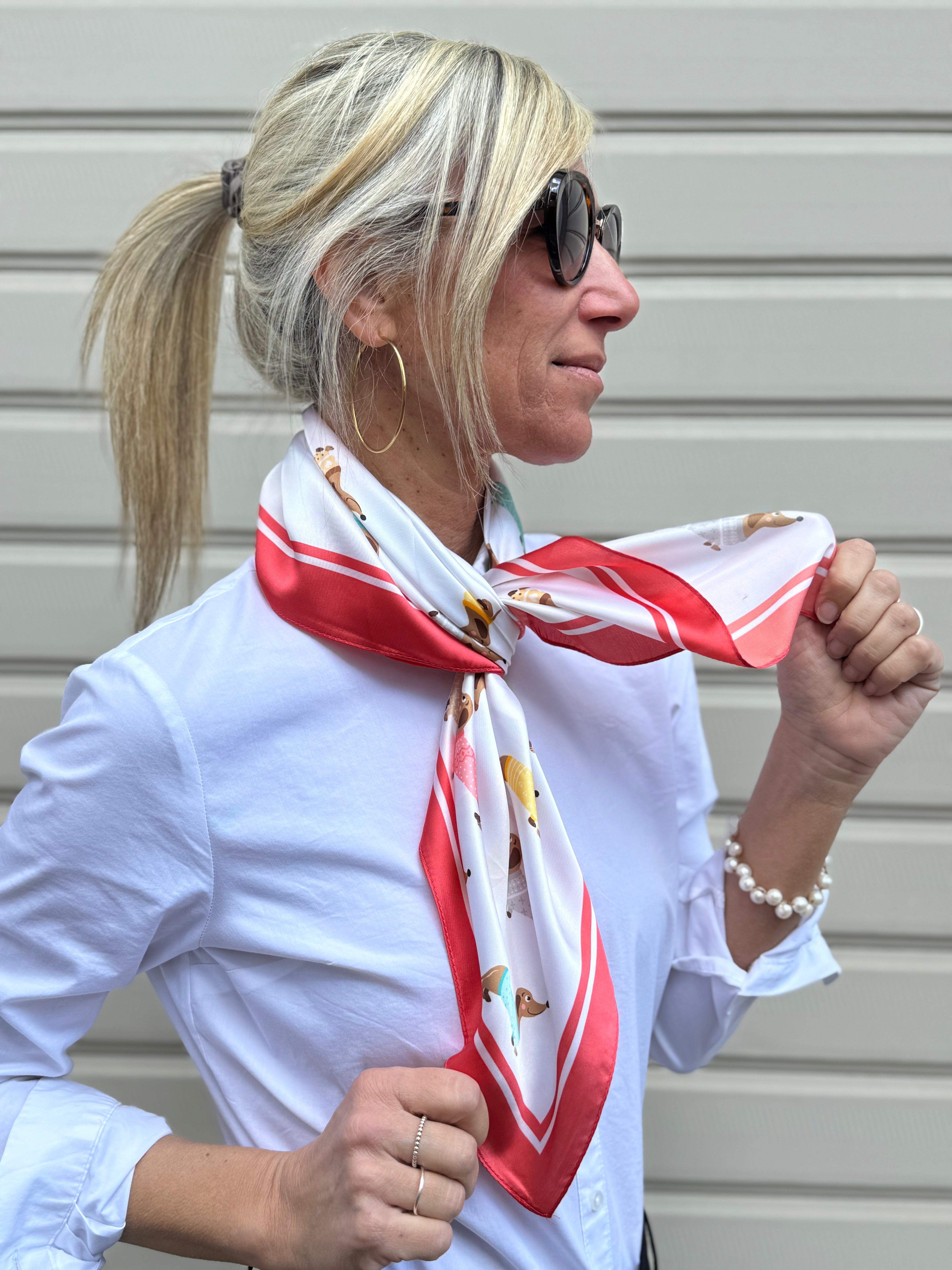 Foulard bassotto