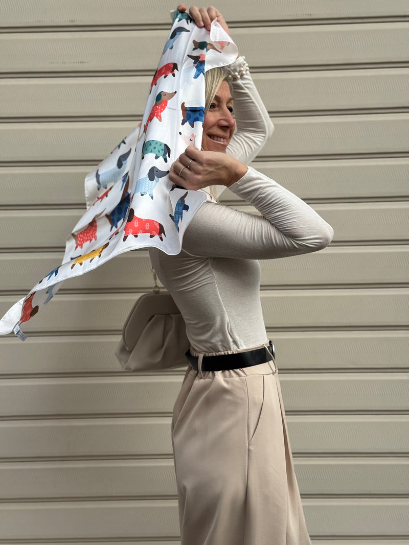 Foulard dog