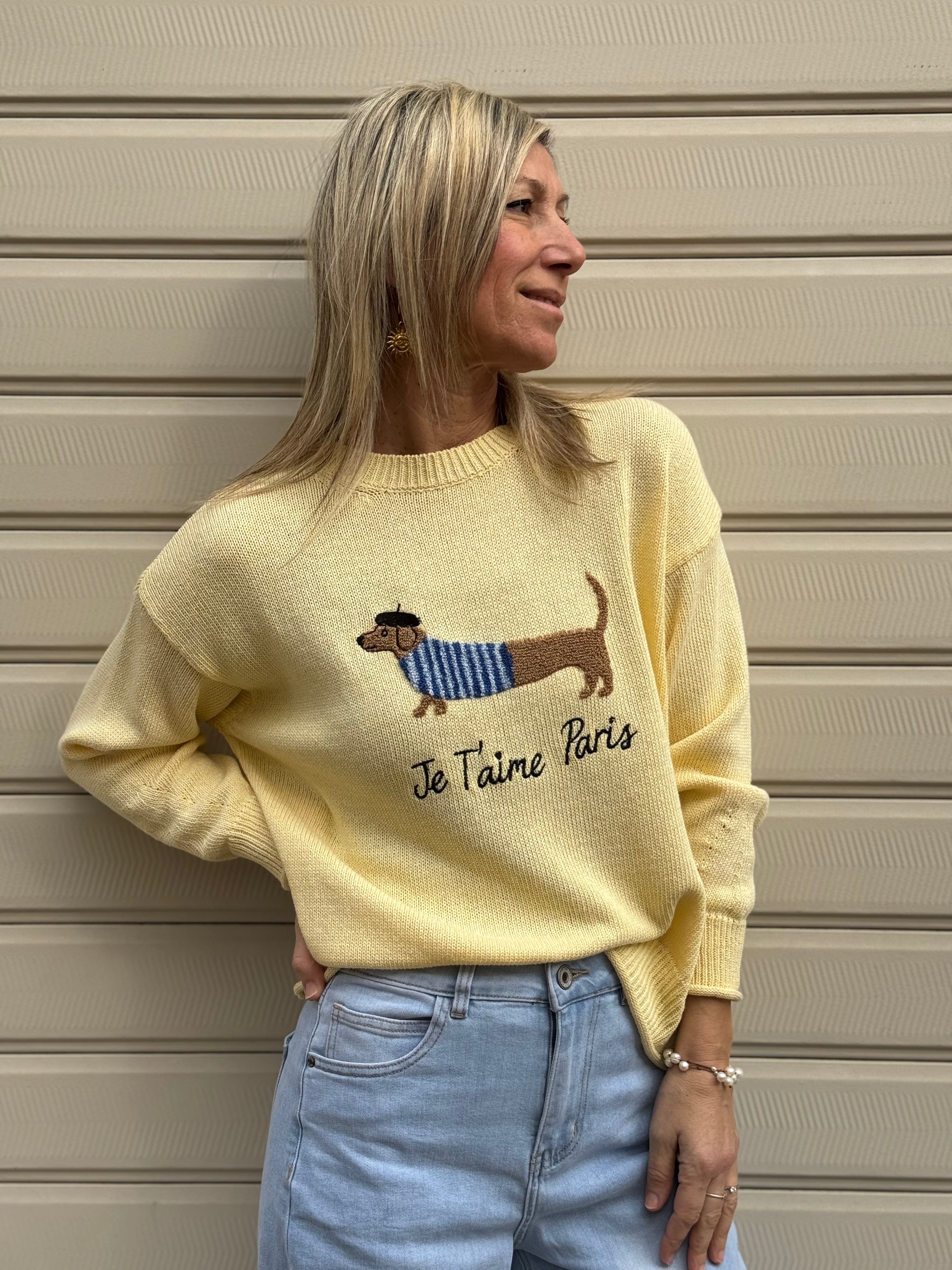 Maglia cotone bassotto adora