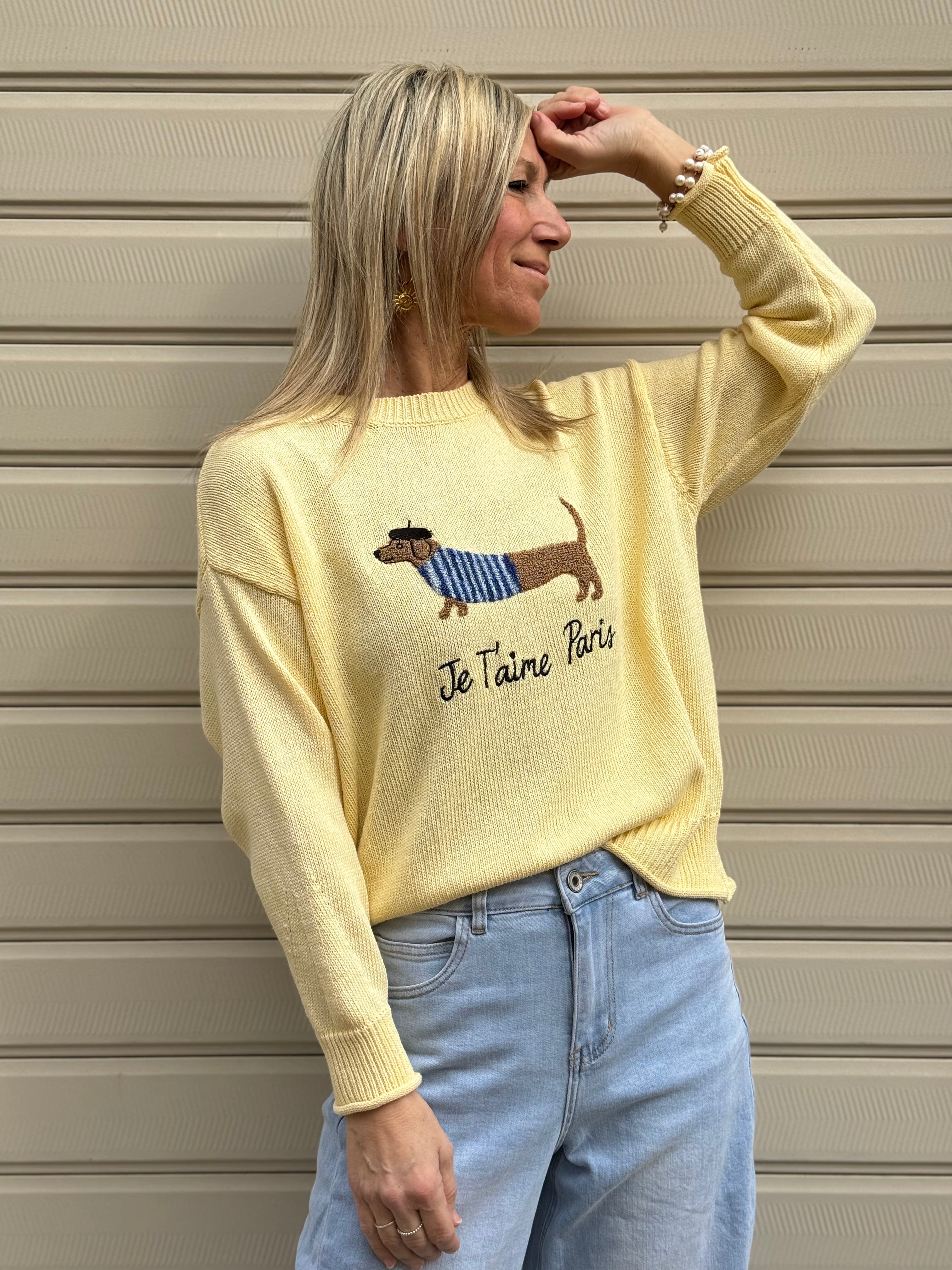 Maglia cotone bassotto adora